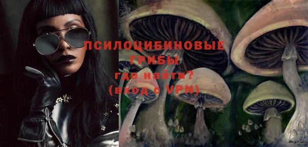 мдма Медвежьегорск