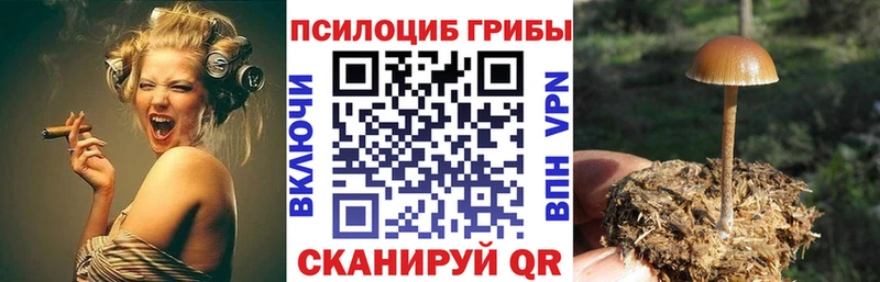 Галлюциногенные грибы GOLDEN TEACHER  Дмитров 