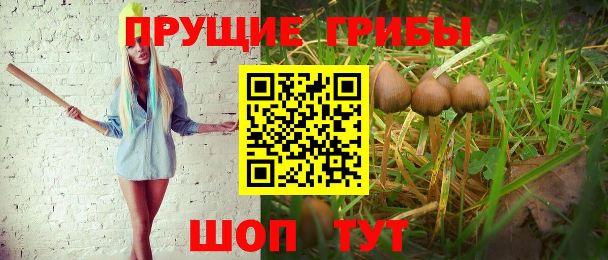 Alpha PVP Дмитров