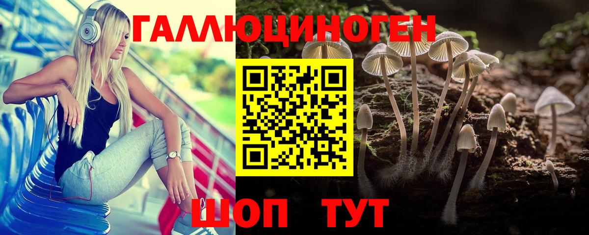 Псилоцибиновые грибы Magic Shrooms  Дмитров 