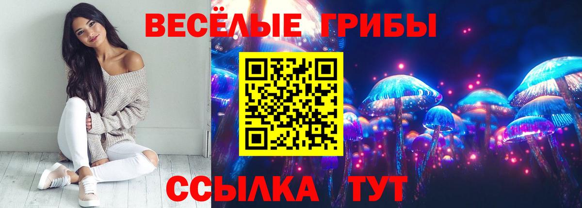 Галлюциногенные грибы мухоморы Дмитров
