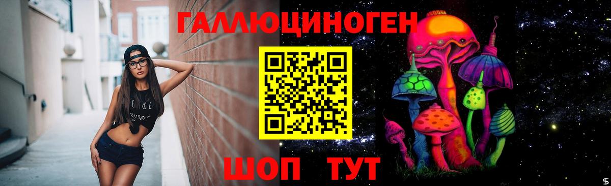 Дмитров  Псилоцибиновые грибы GOLDEN TEACHER  Вход с VPN 